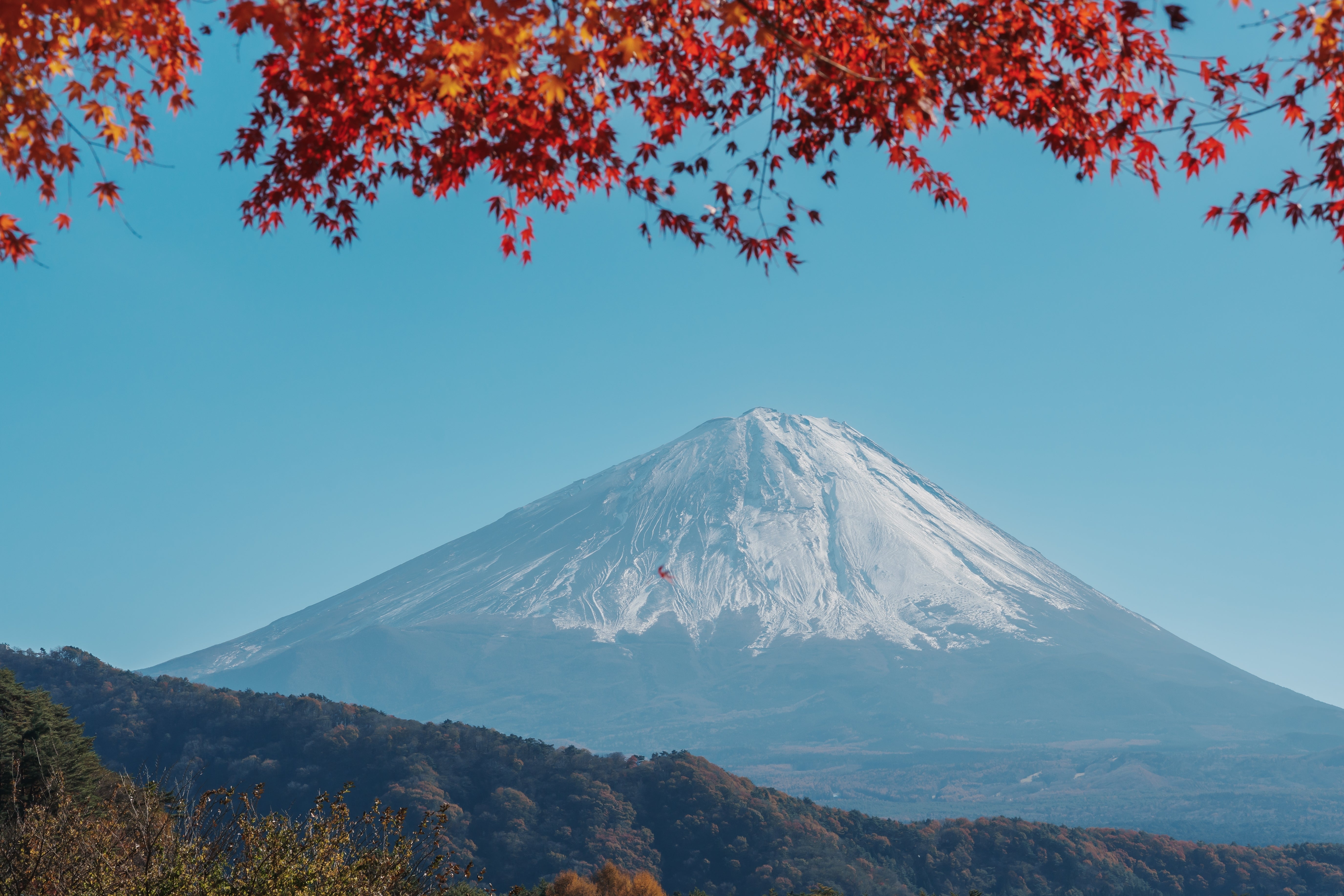 Optional Mount Fuji Tour