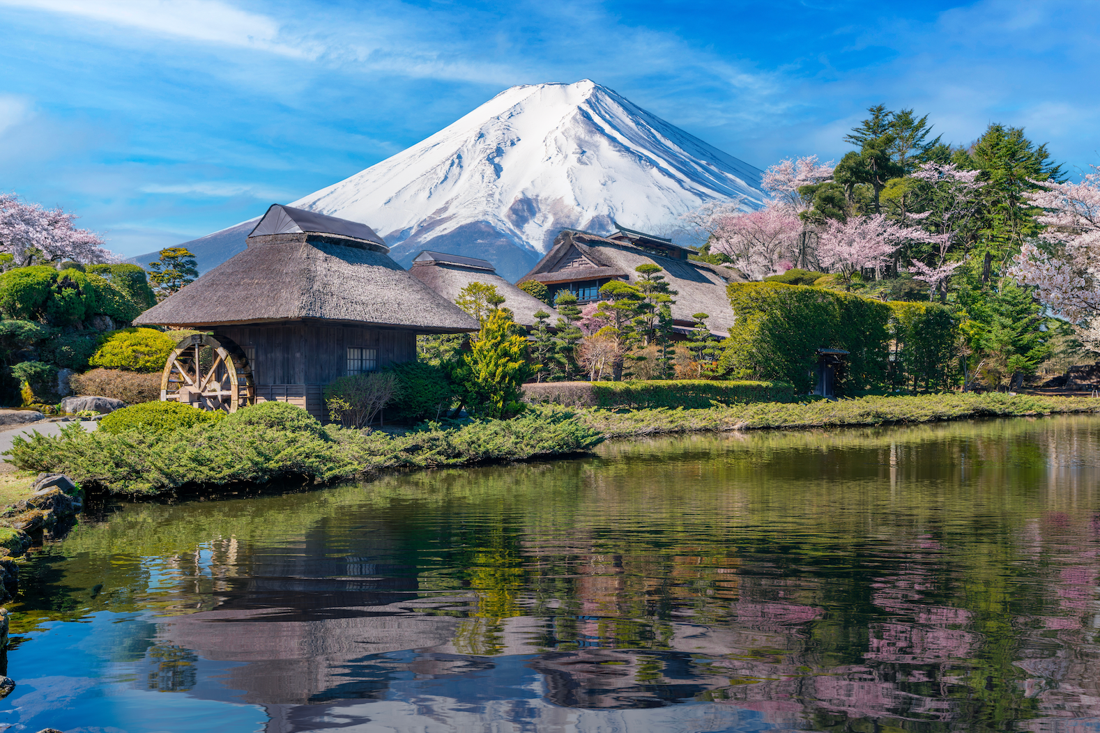 Optional Mount Fuji Tour