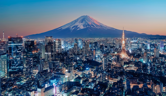 Optional Mount Fuji Tour 754