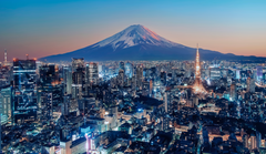 Optional Mount Fuji Tour 746