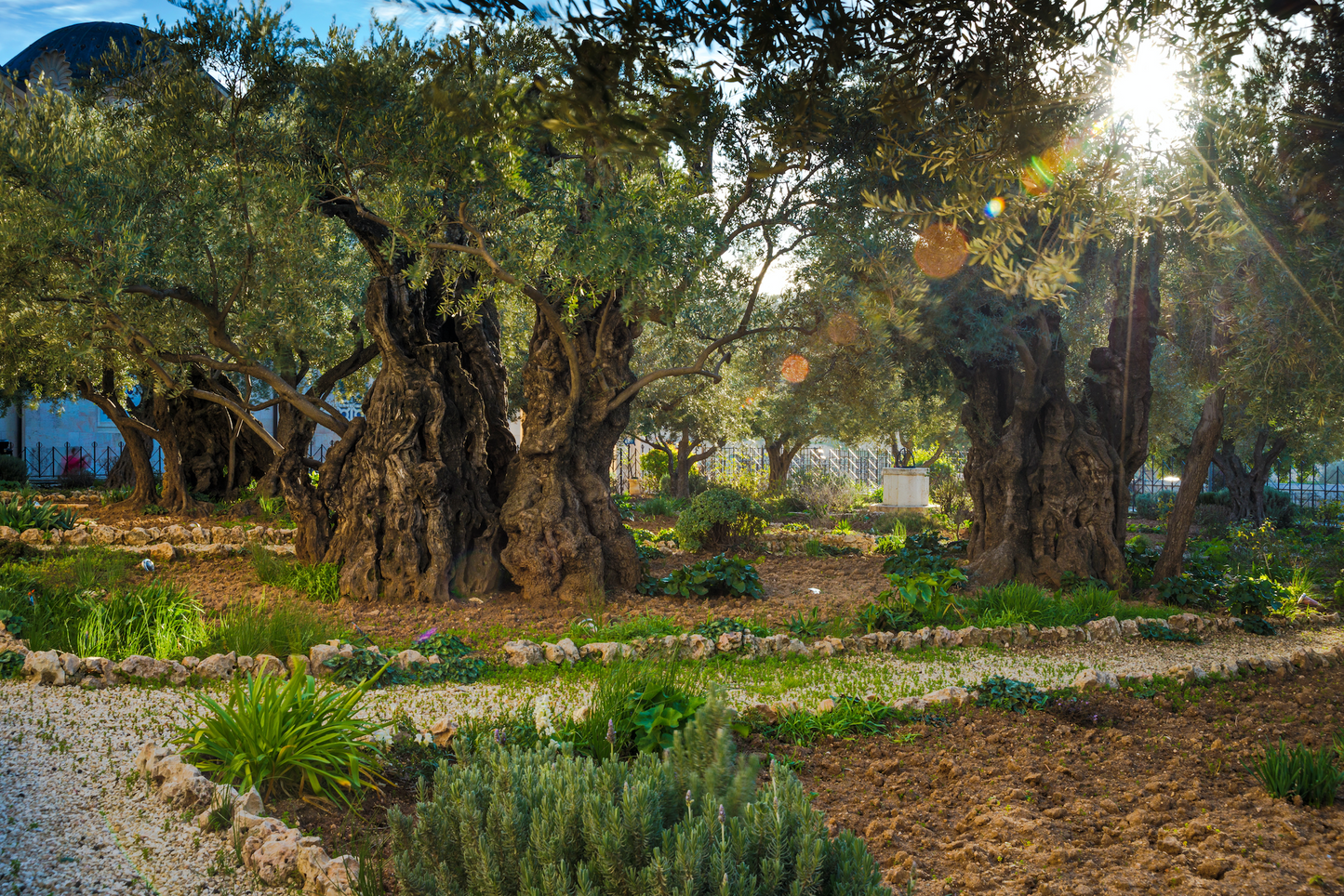 Jerusalem, Petra, Wadi Rum, Jericho and Galilee Sea Travel Tour 522