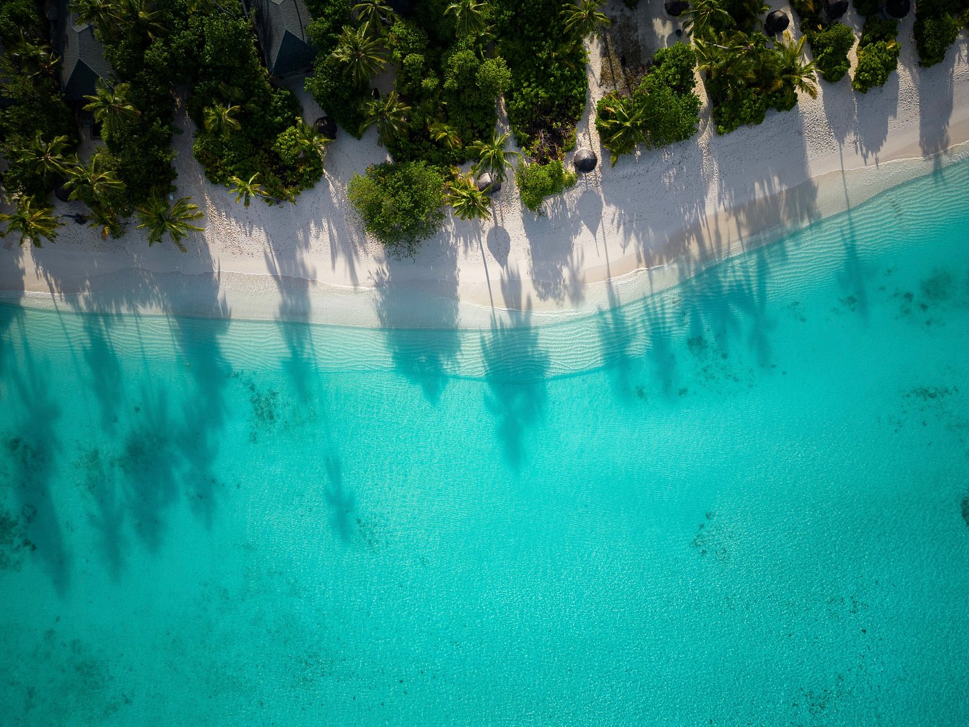 Optional Maldives Travel Tour 673