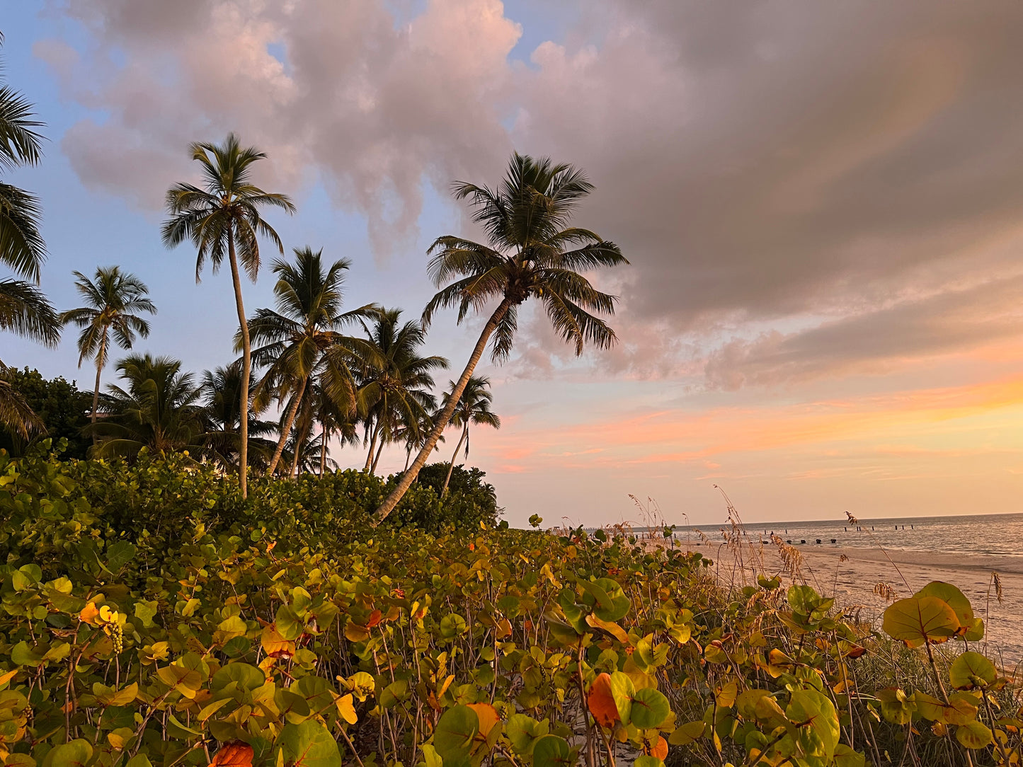 Naples, Florida Travel Tour 631