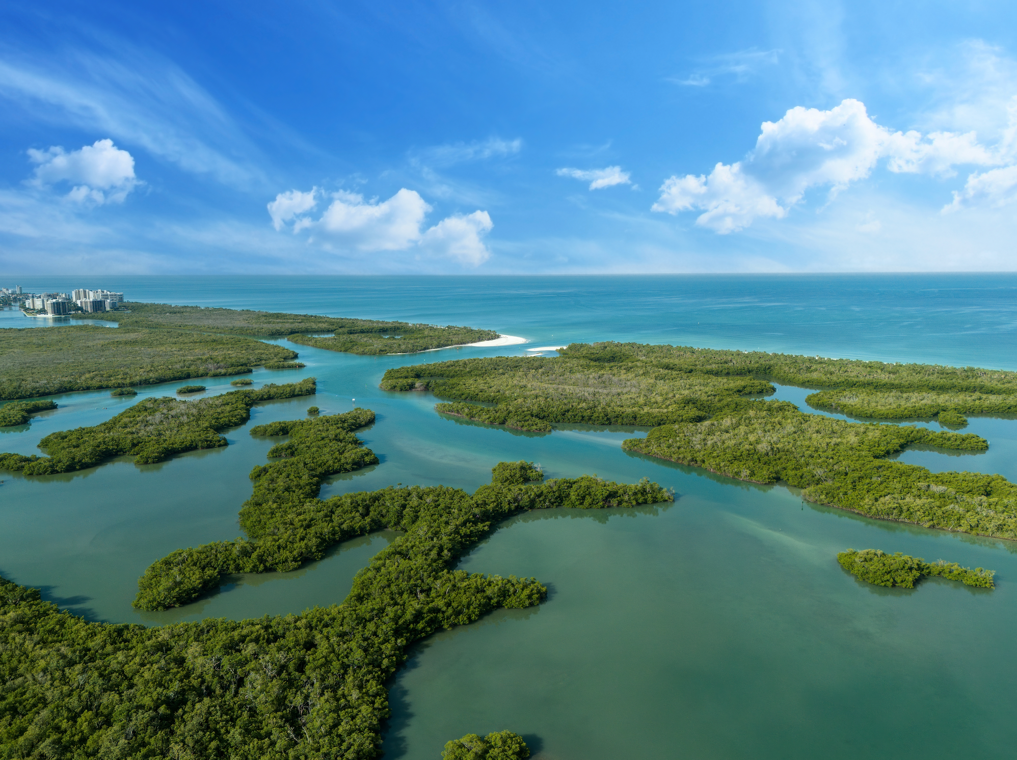 Naples, Florida Travel Tour 631