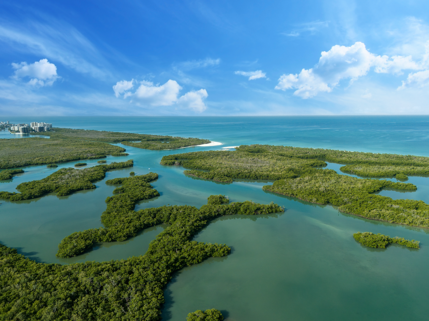 Naples, Florida Travel Tour 631