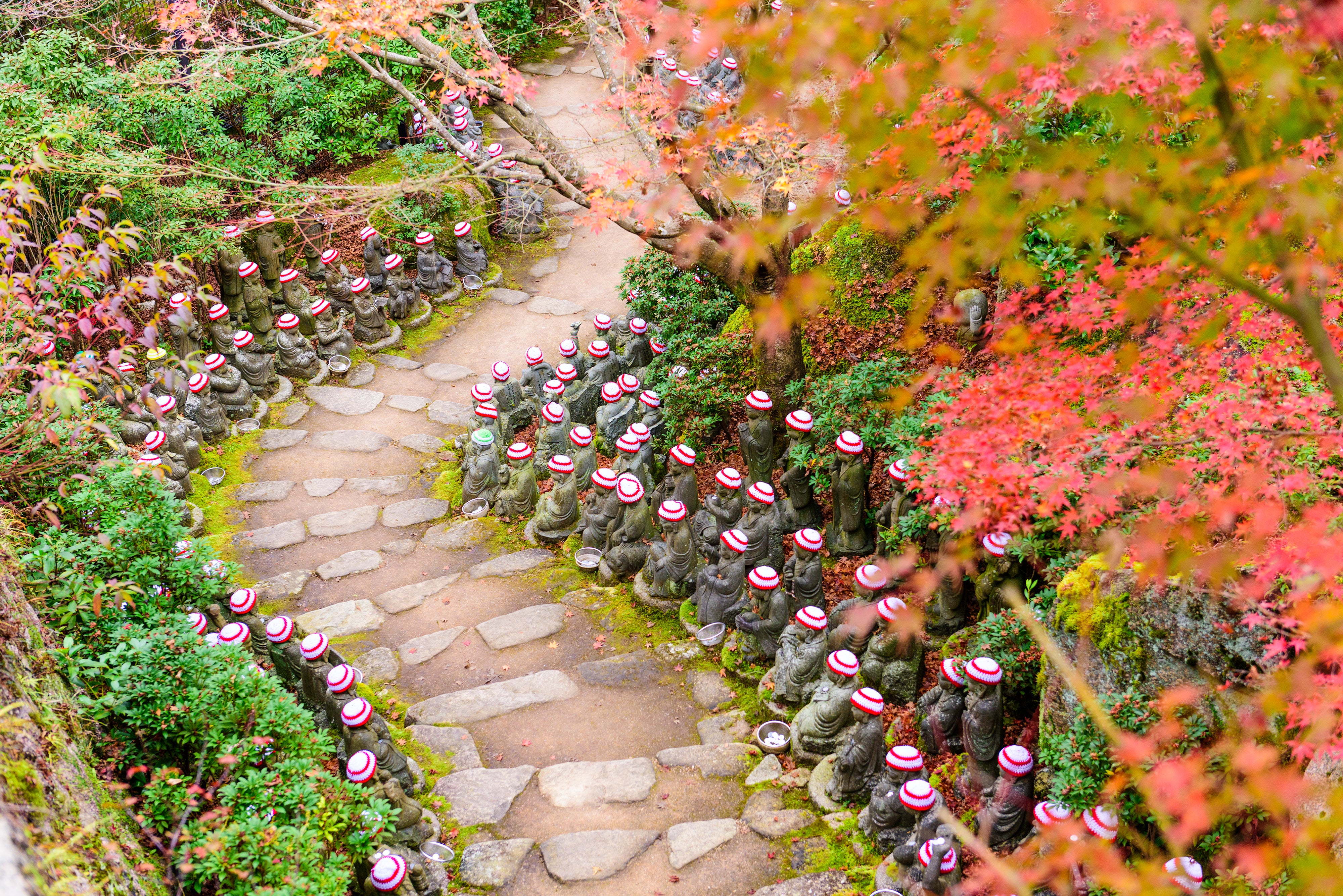 Optional Miyajima Tour