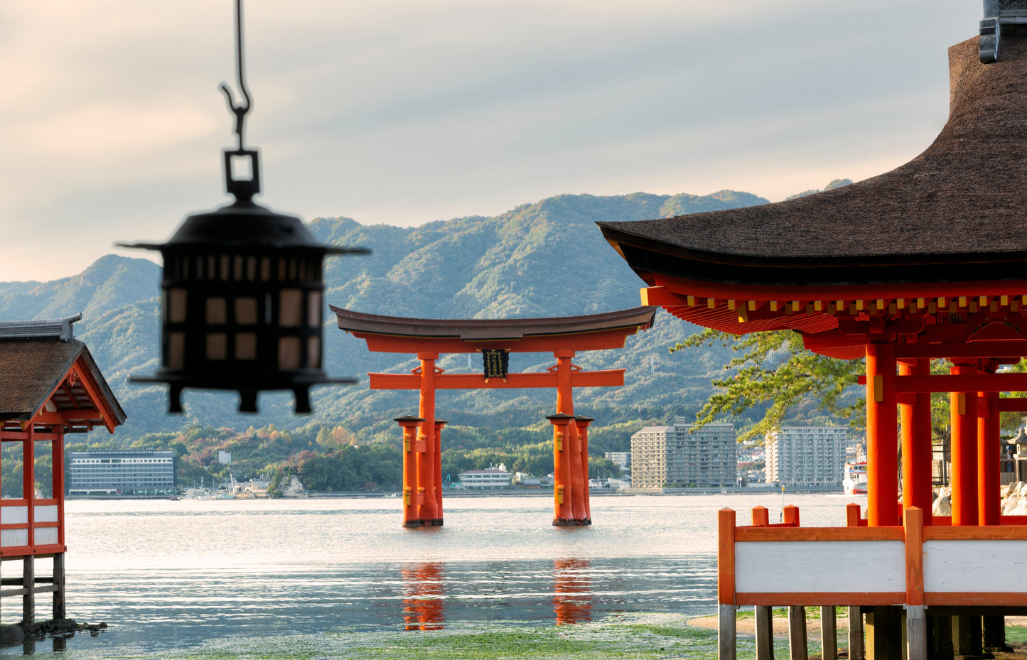 Optional Miyajima Tour