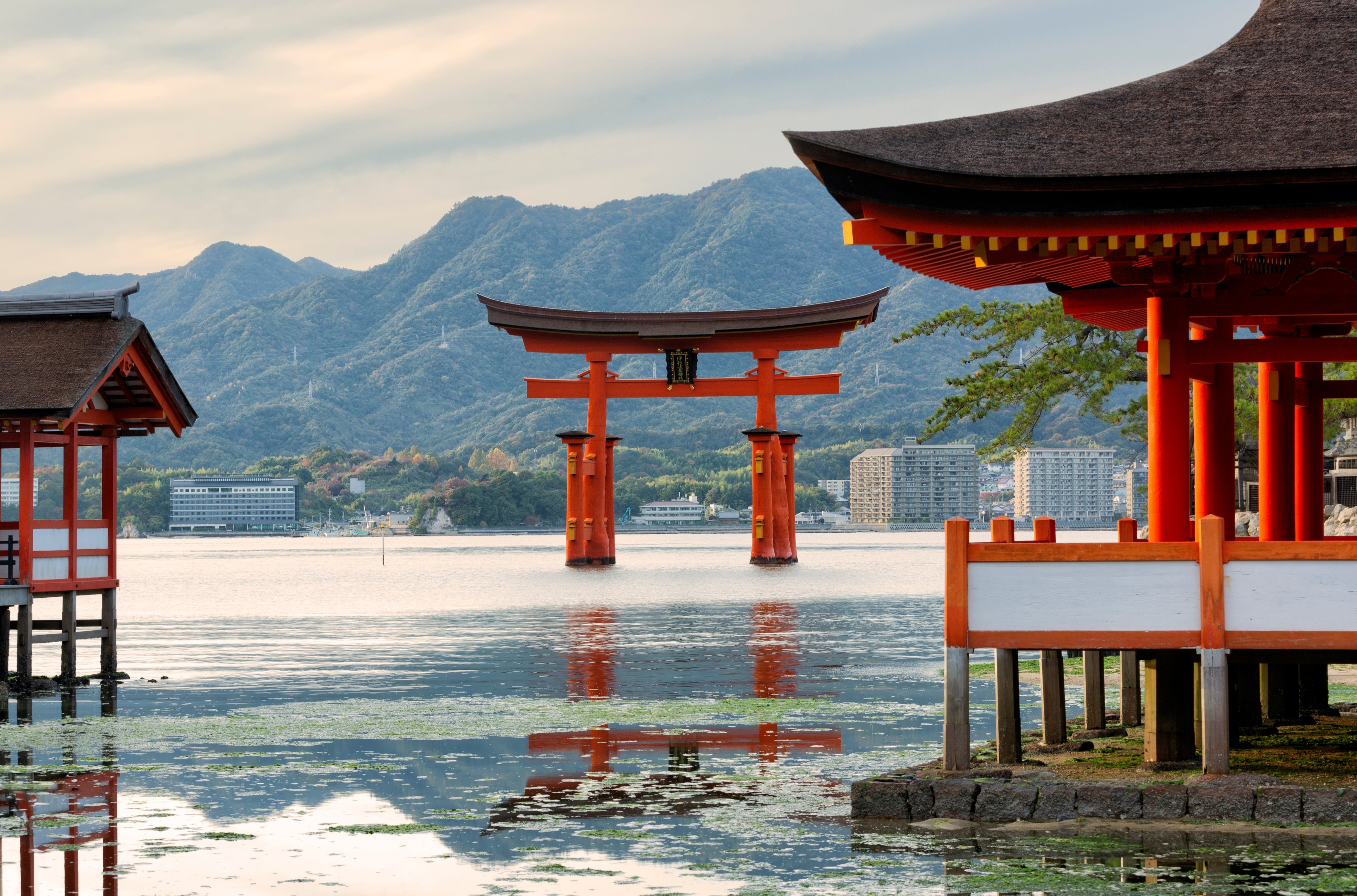 Optional Miyajima Tour