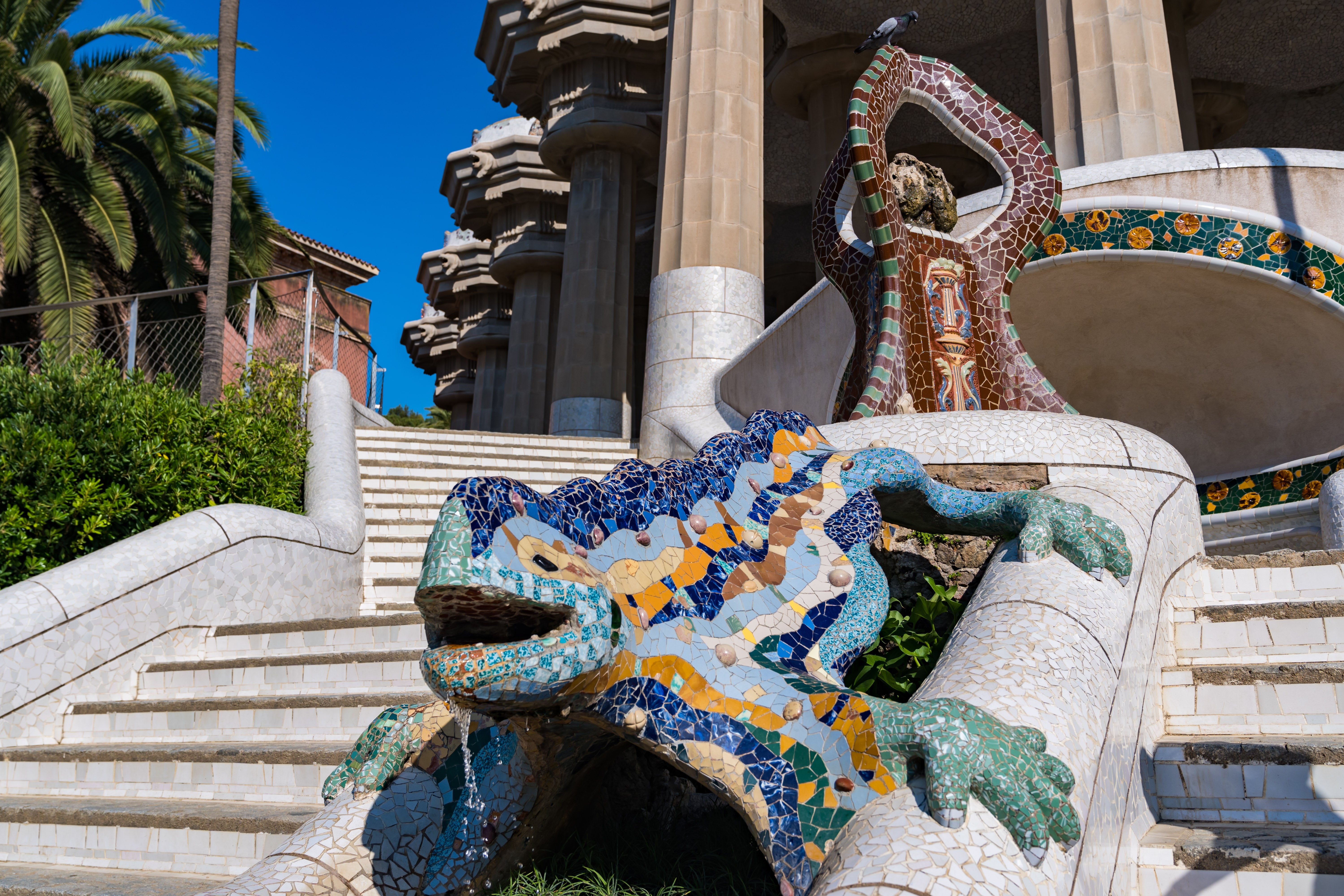 Climb to El Drac and see the mosaic salamander