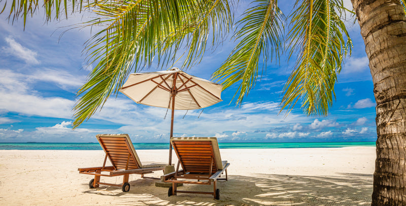Punta Cana Travel Tour 331