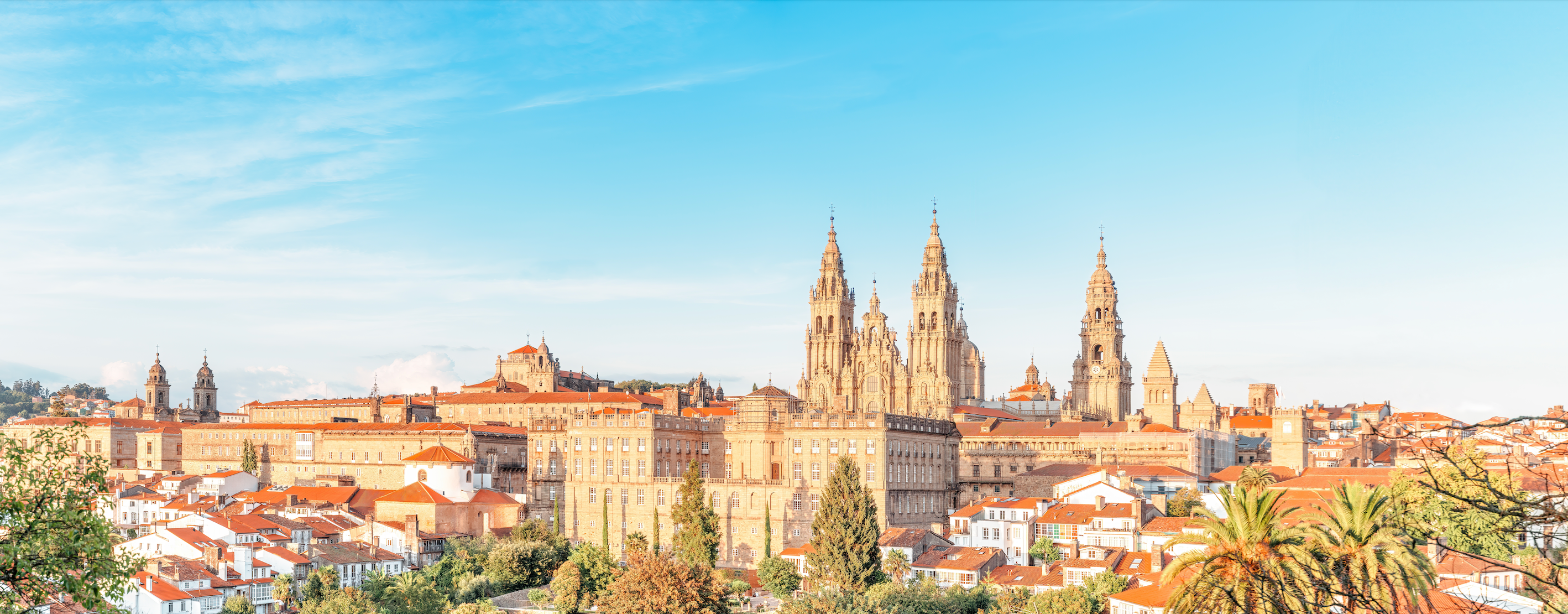 Santiago Pilgrimage Travel Tour 691