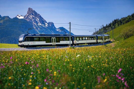 Switzerland Travel Tour 736