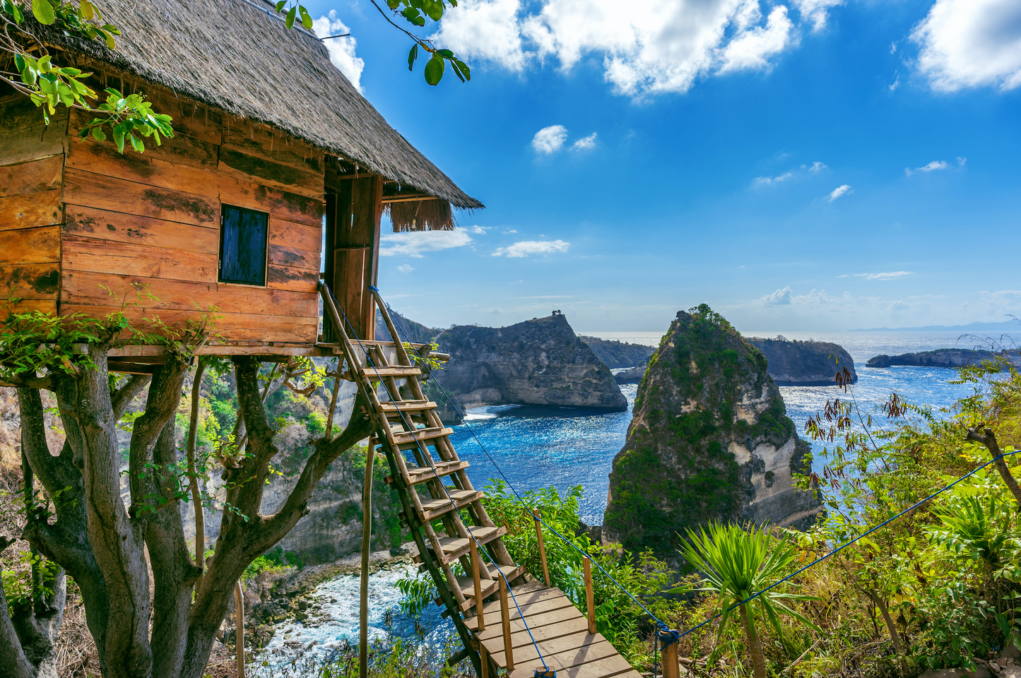 Tree House in Nusa Penida