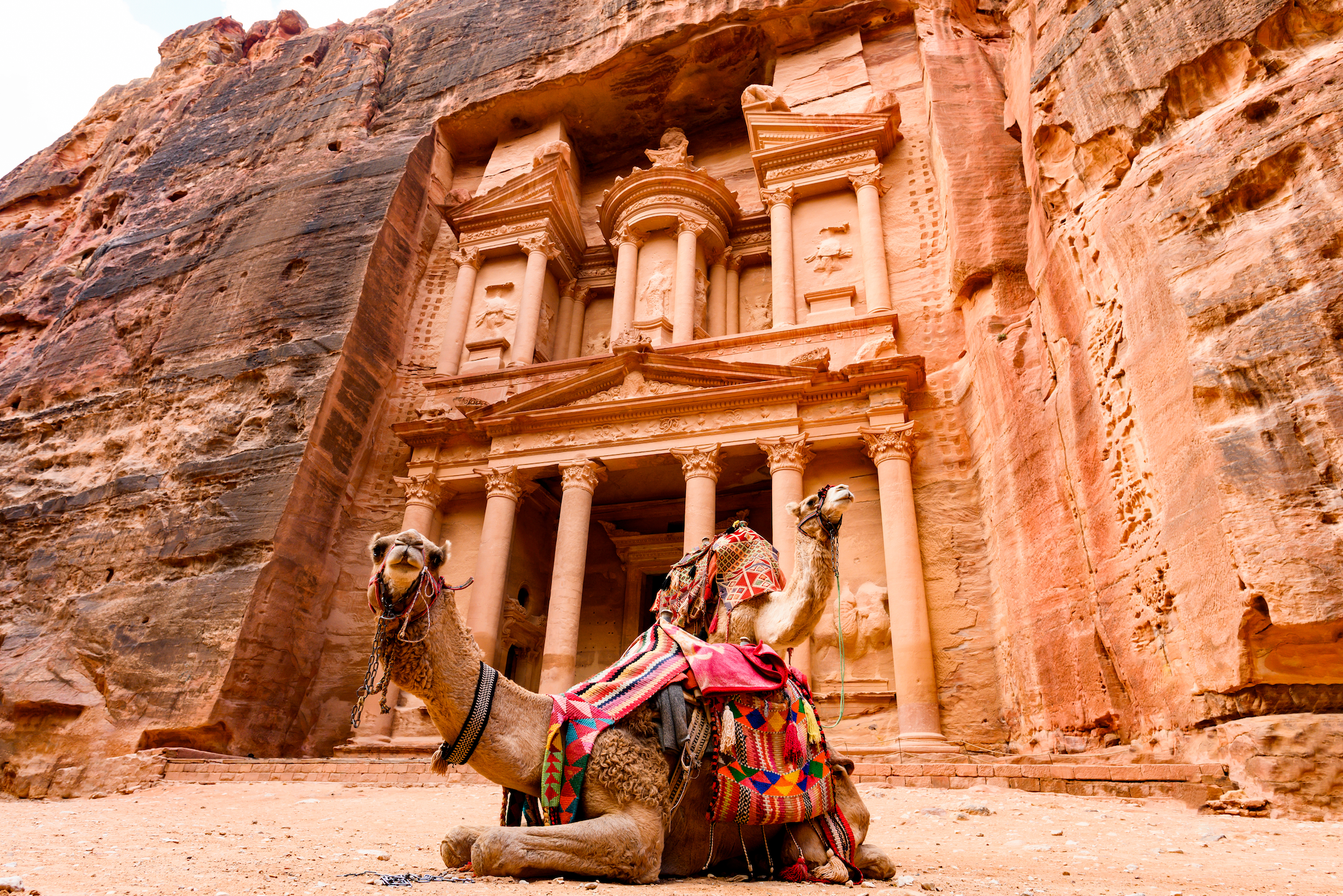 1 Day Petra visit with local certified guide for 2 hours