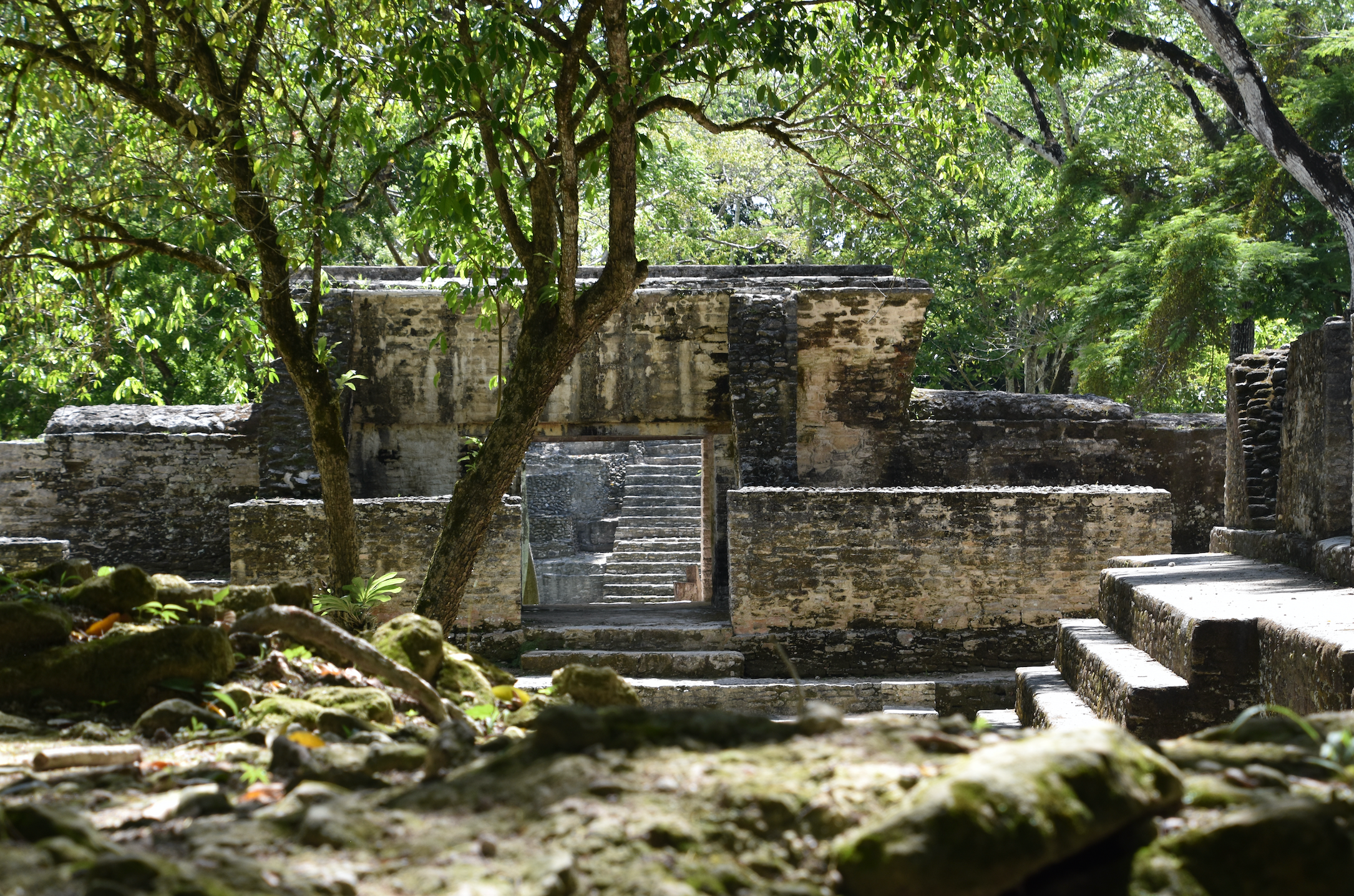 Cahal Pech Ruins