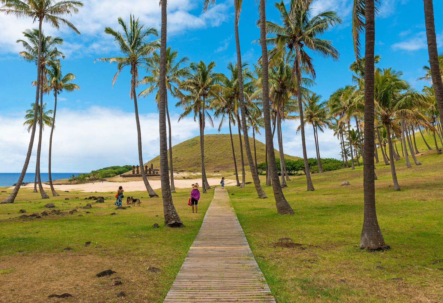 Easter Island Scuba-diving Tour 85