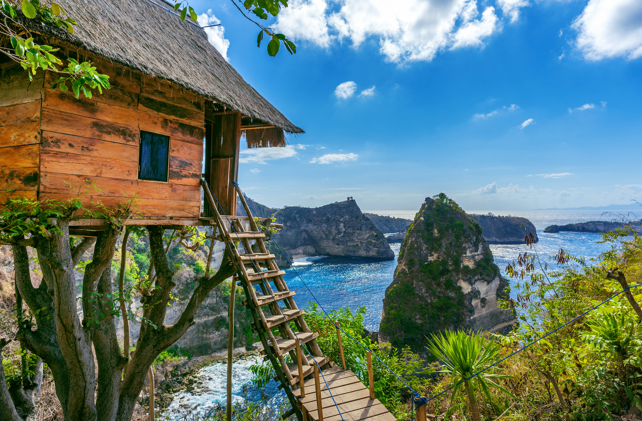 Tree House in Nusa Penida