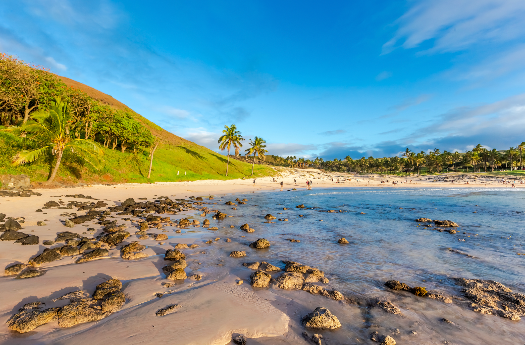 Easter Island and Galapagos Tour 297