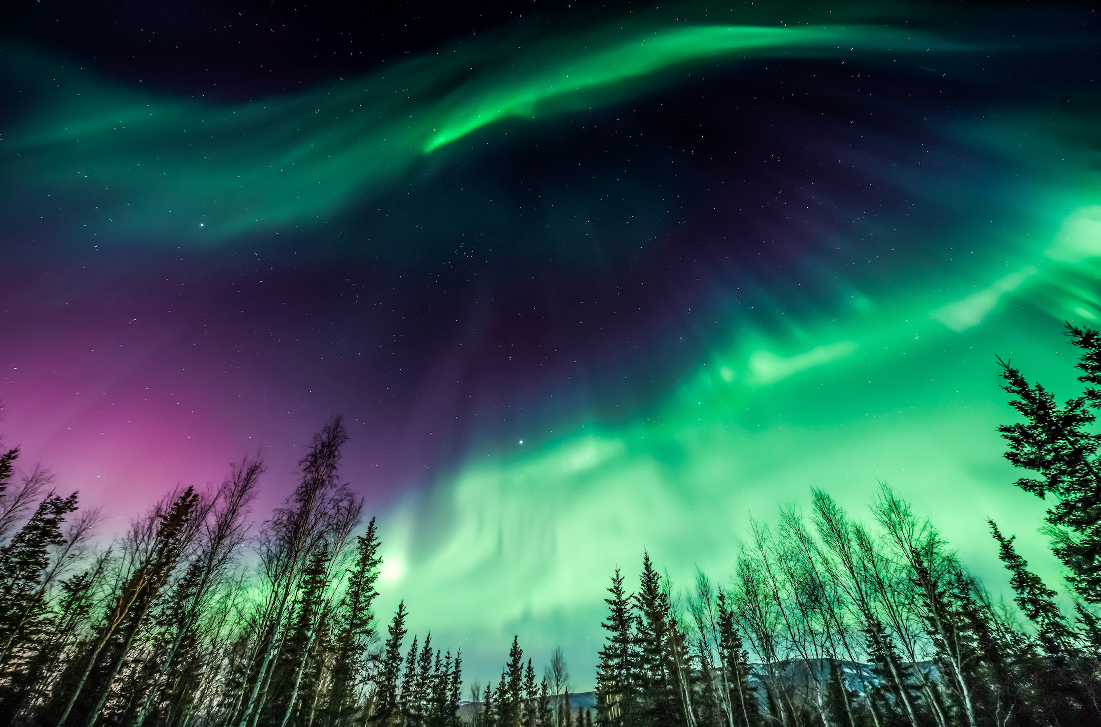 Fairbanks Northern Lights Tour 128