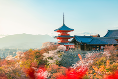 Optional Kyoto Tour