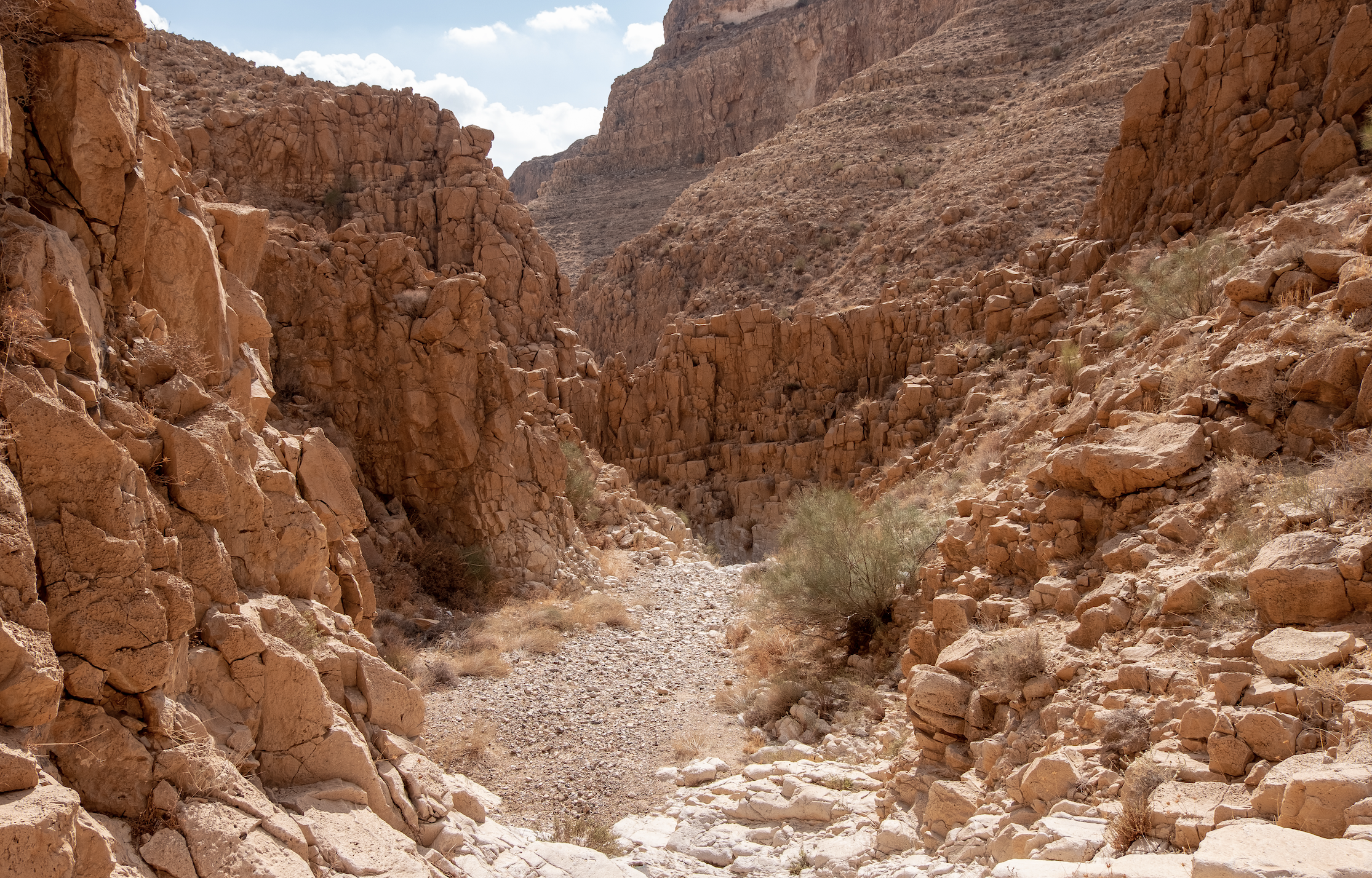 Judaean Desert