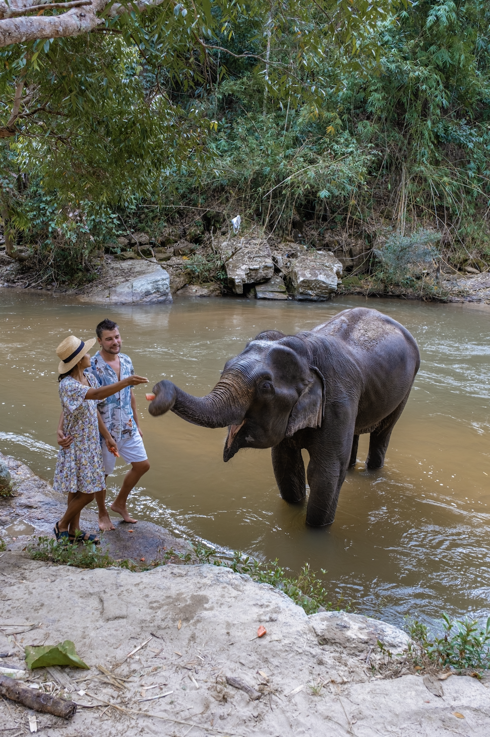  Optional Animal Sanctuary Tour