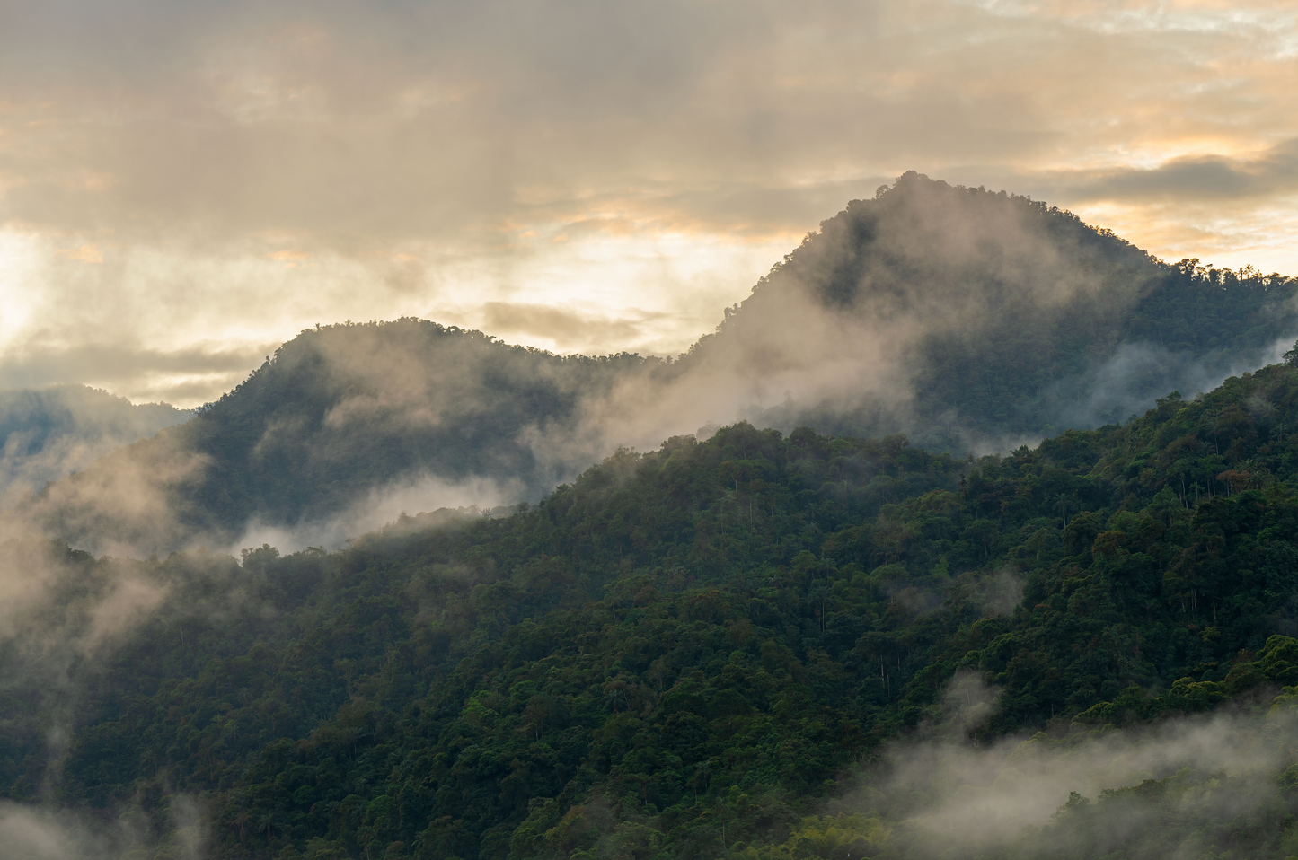 Mindo Cloud Forest