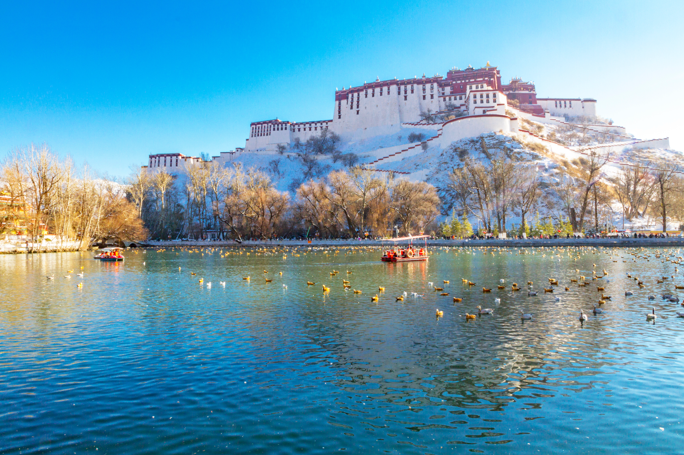 Lhasa