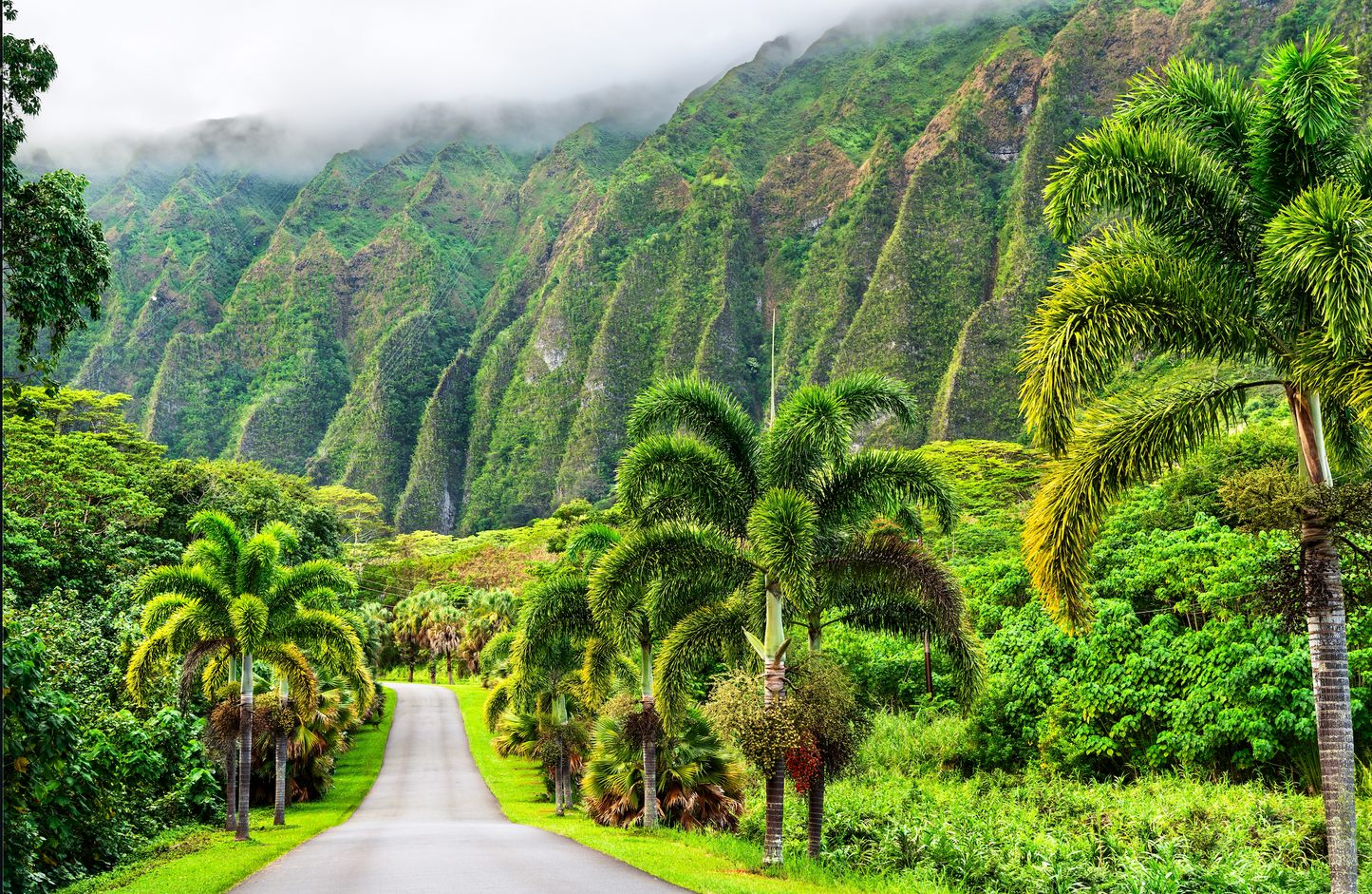 Hawaii Travel Tour 429