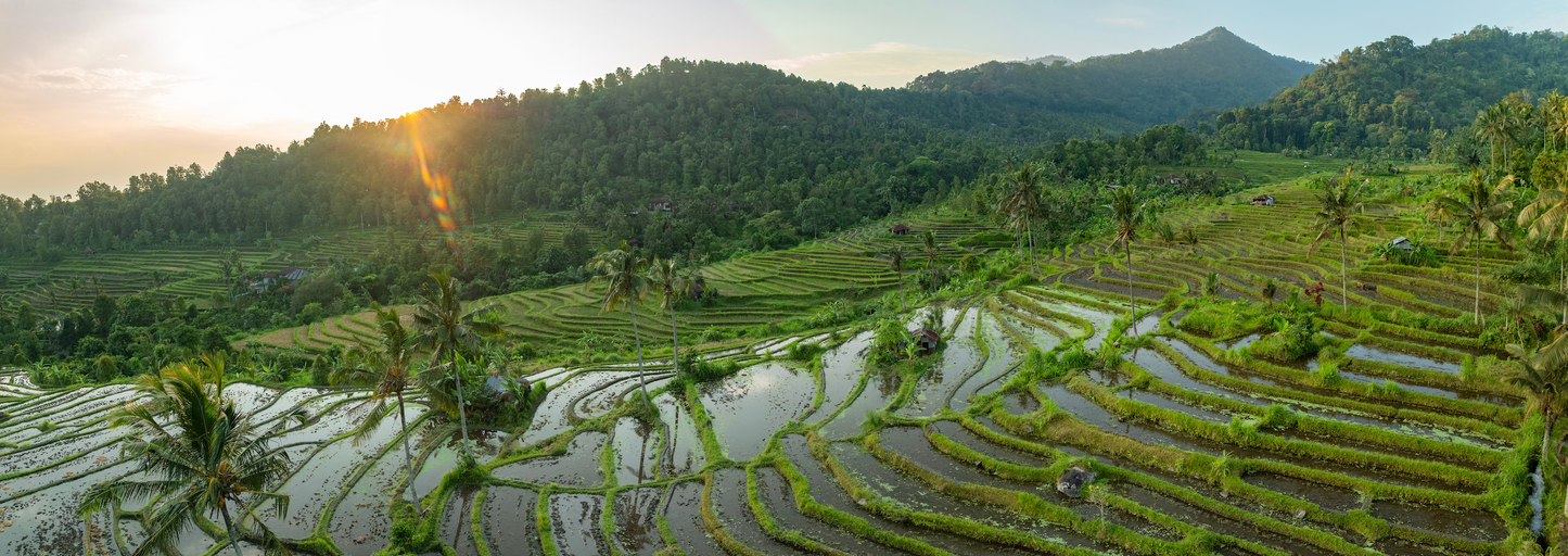Bali Travel Tour 374