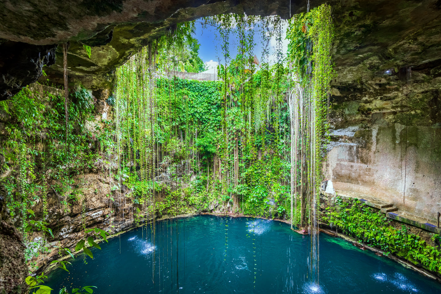 Selva Maya Cenote