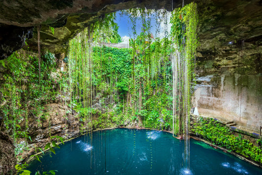 Selva Maya Cenote