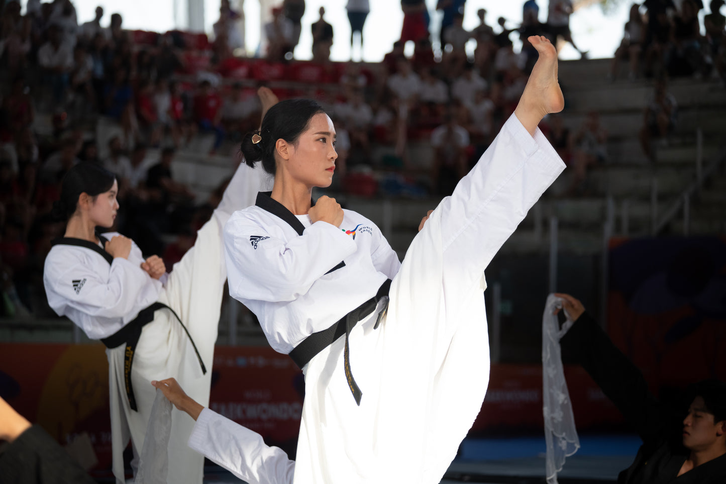 Taekwondo Show
