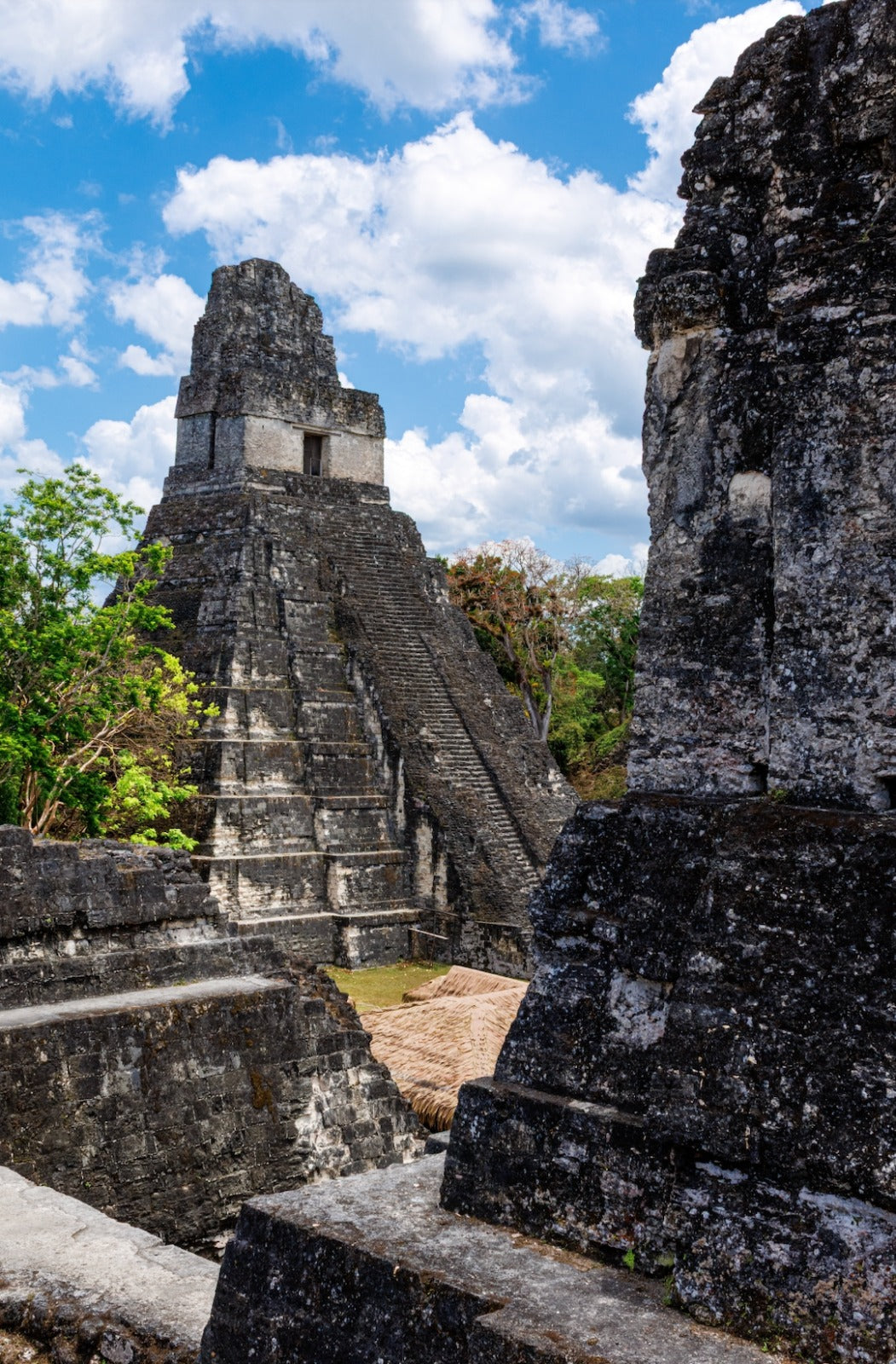 Tikal Tour