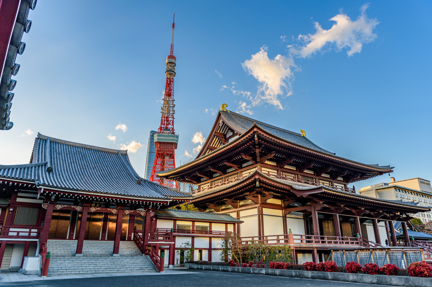 1 Full Day Tokyo Tour