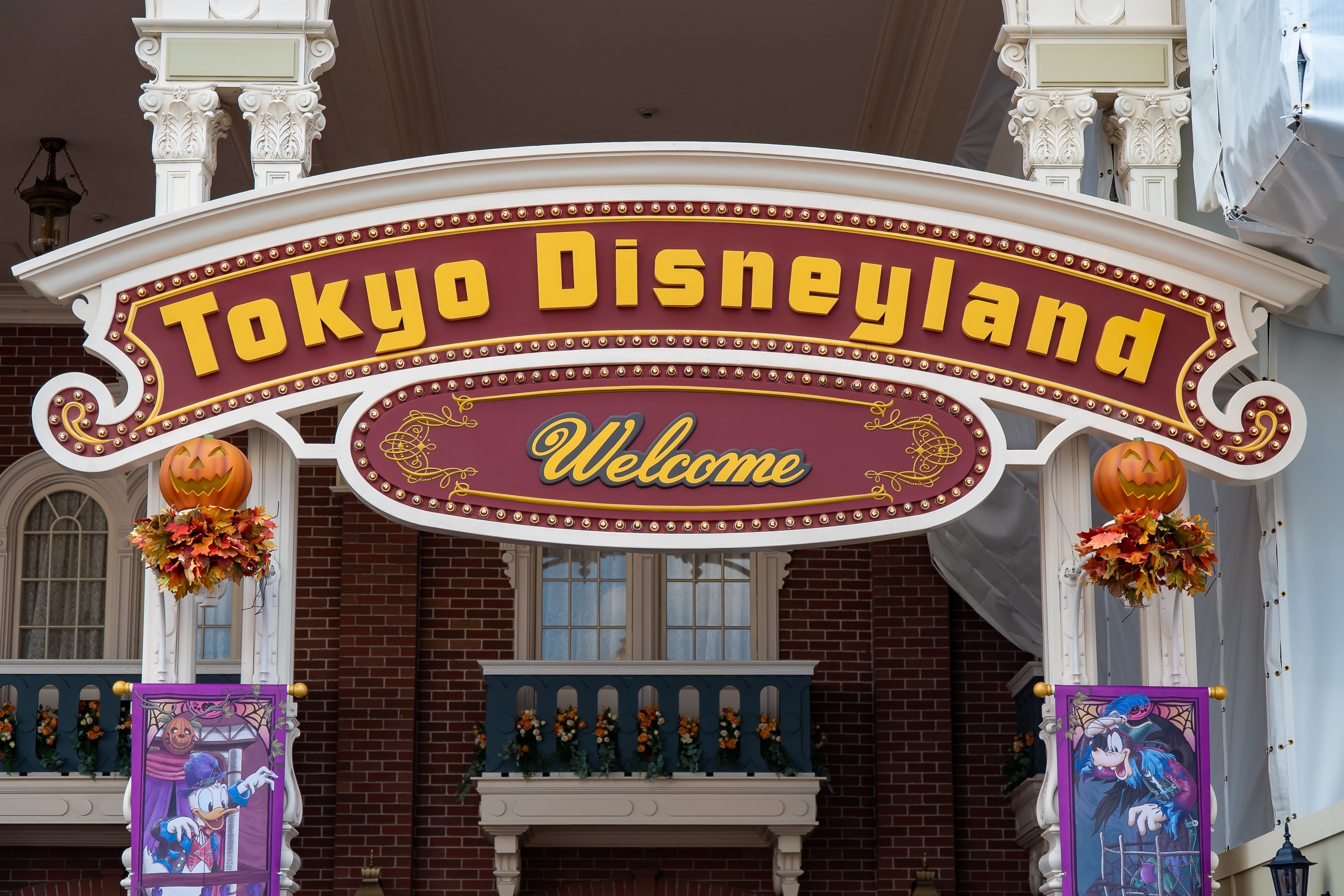 Optional Tokyo Disneyland Tour