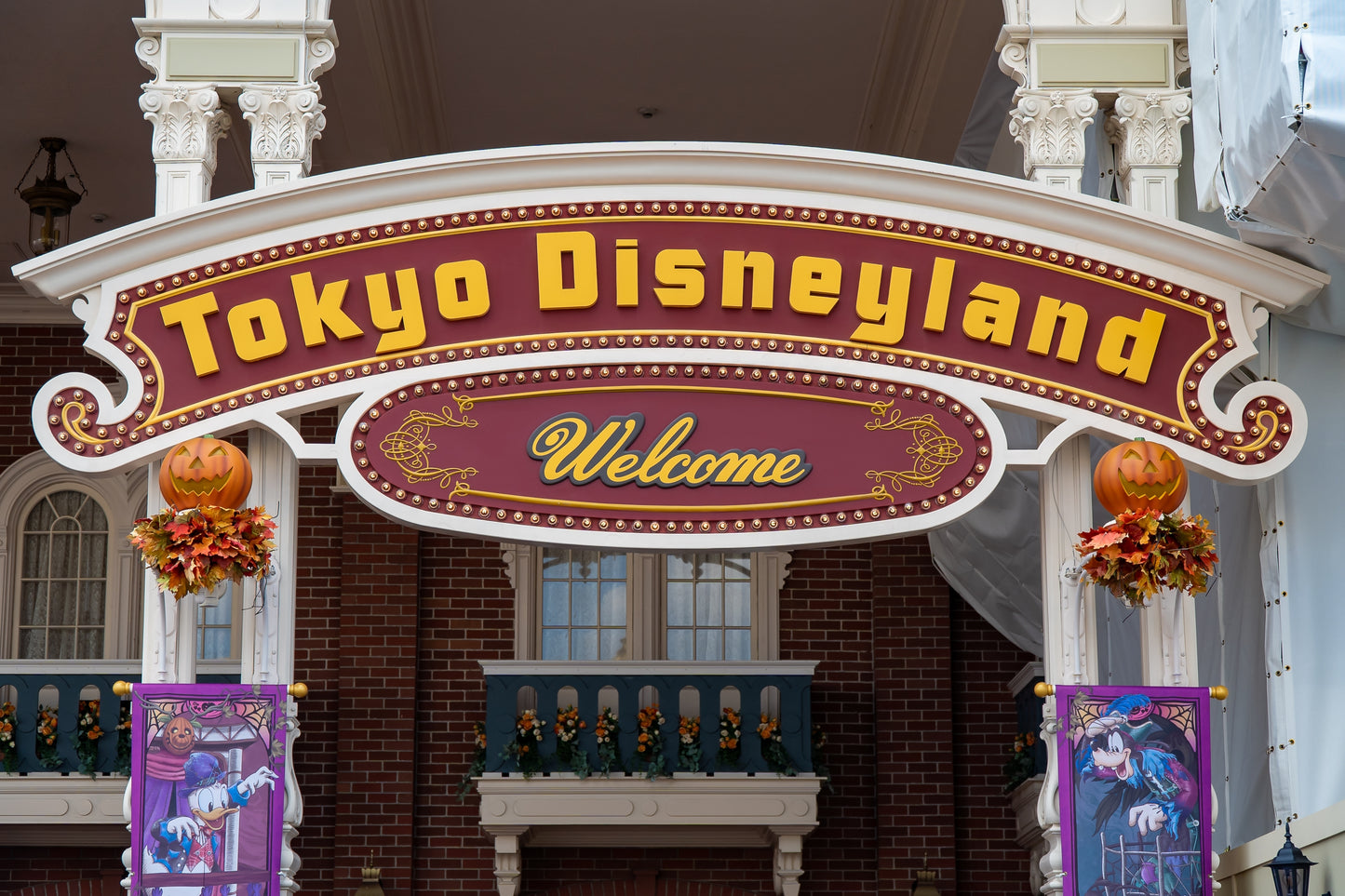 Optional Tokyo Disneyland Tour