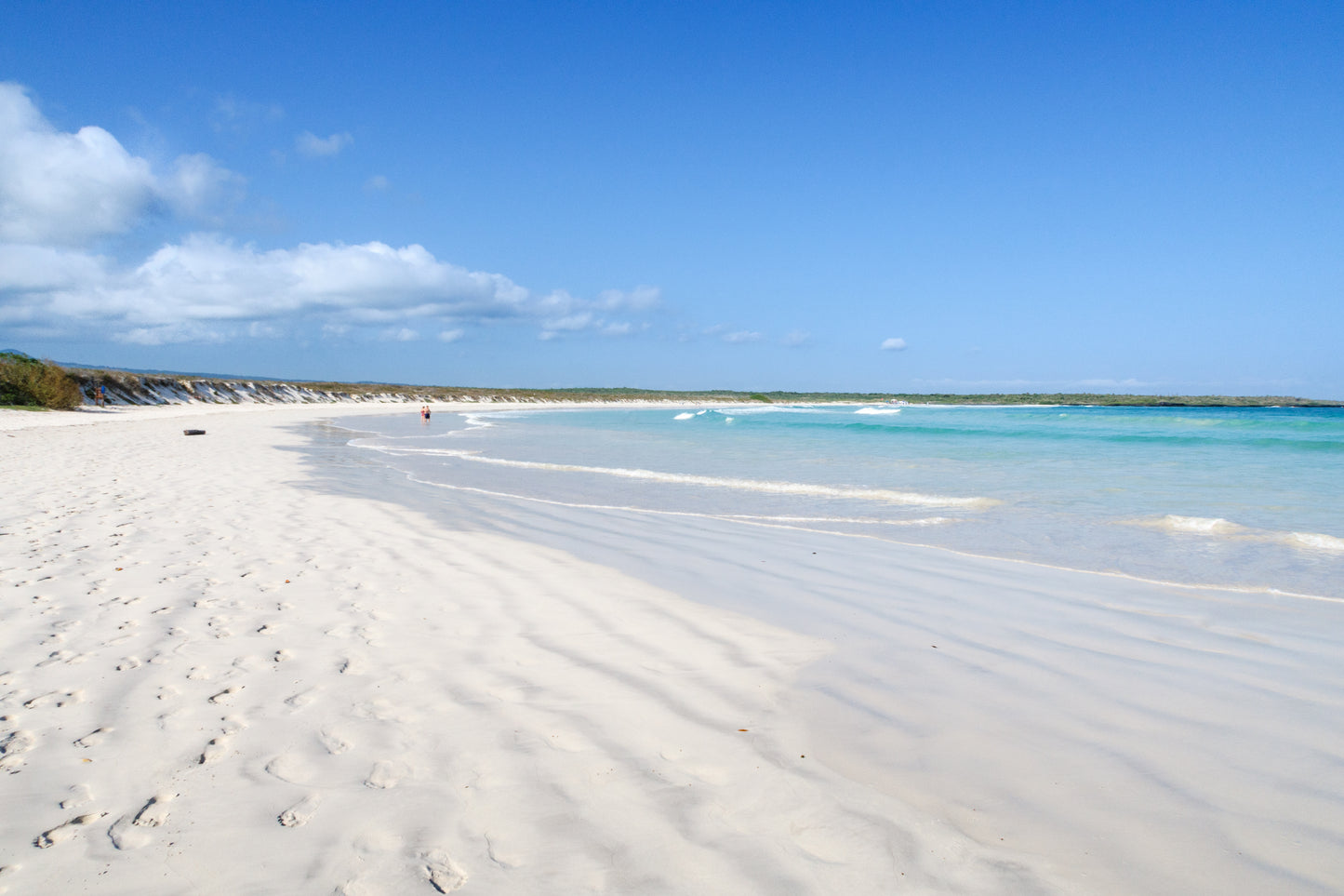 Tortuga Bay Beach