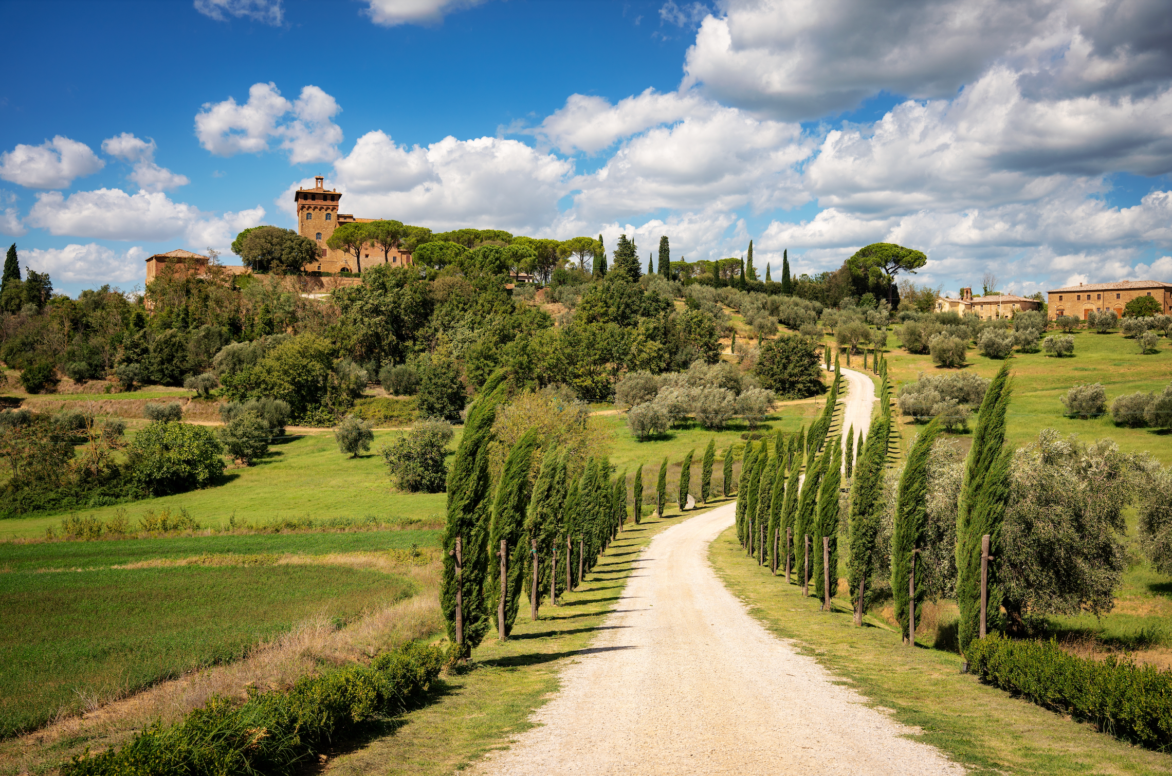 Optional Tuscany Tour