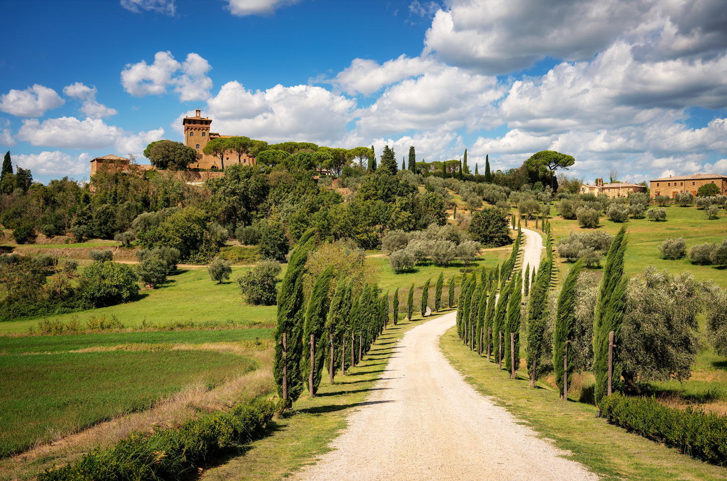 Optional Tuscany Tour