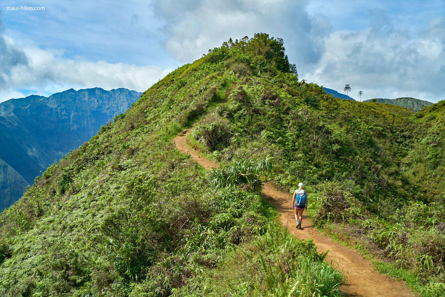 Waihe'e Ridge Trail