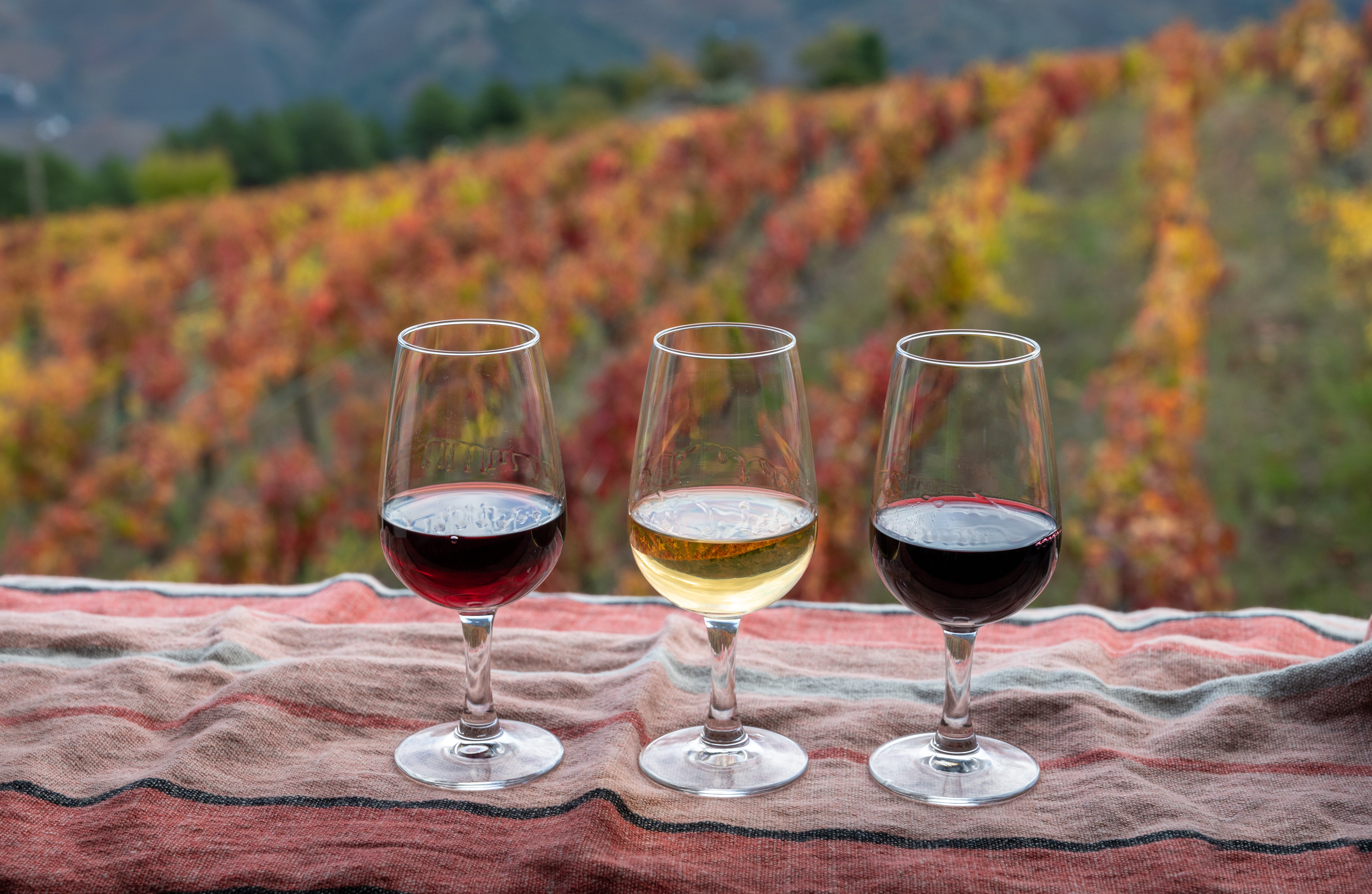 Wine Tasting