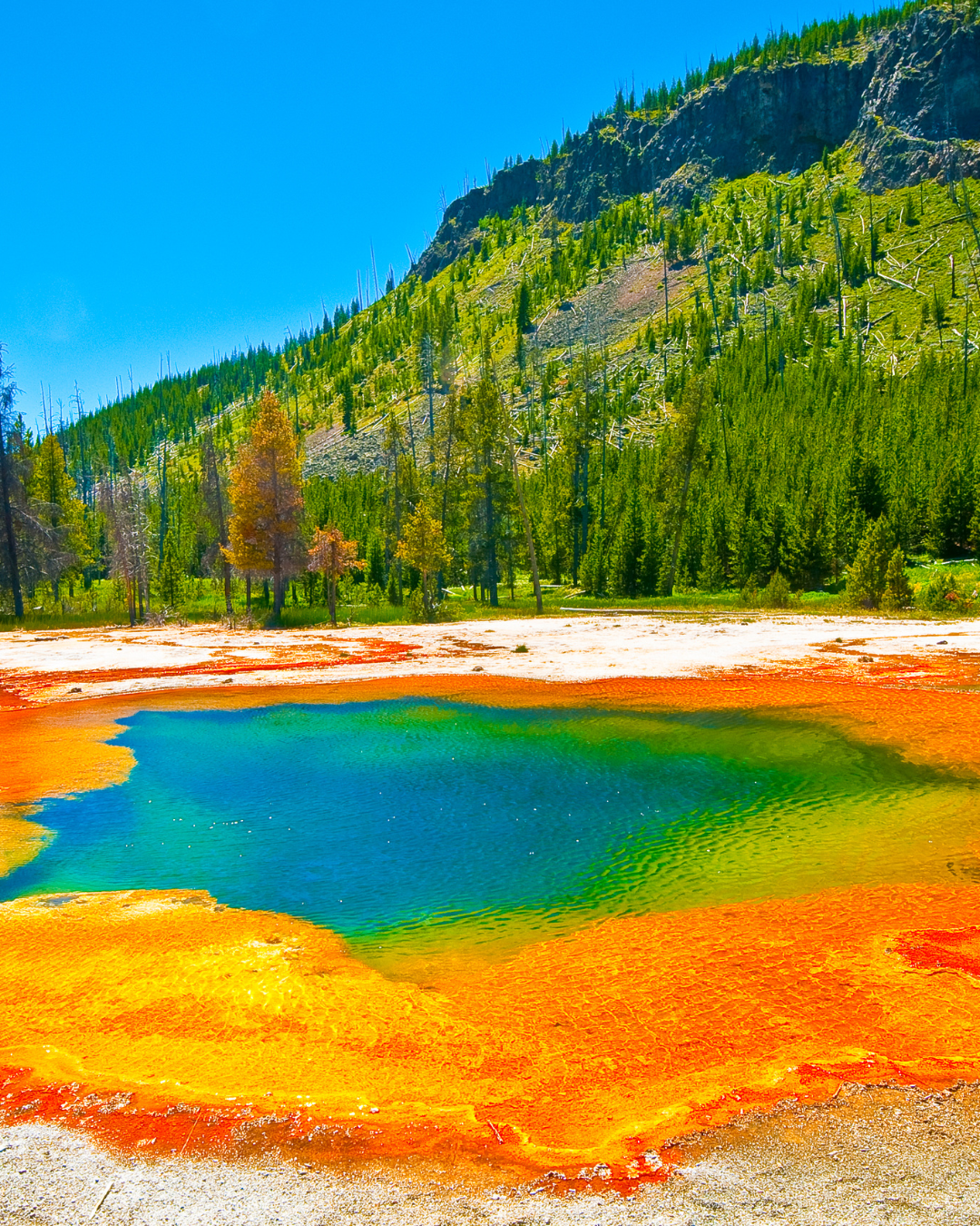 Yellowstone