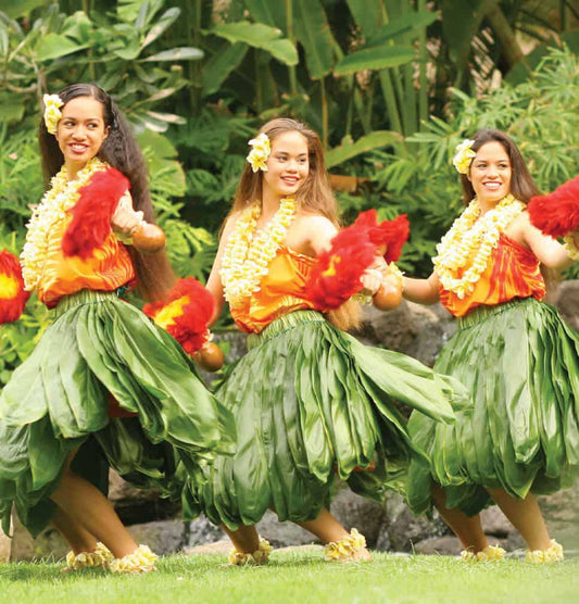 Optional Luau Dinner 724
