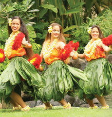 Optional Luau Dinner 724