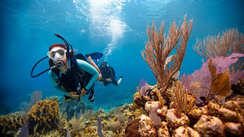 Optional Los Motu and Omohi Scuba-diving Tour