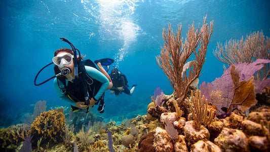 Optional Vai a Heva Scuba-diving Tour