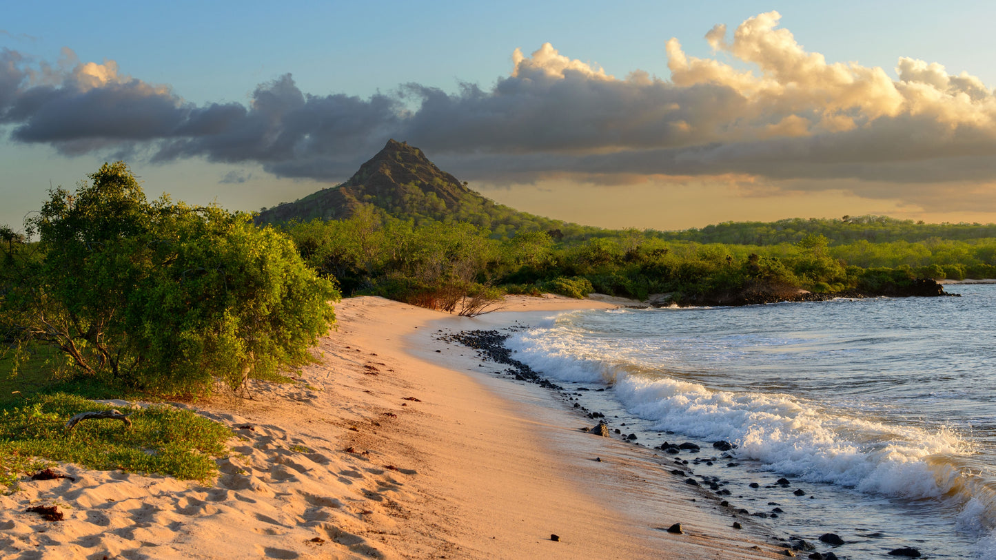 Galapagos Travel Tour 546
