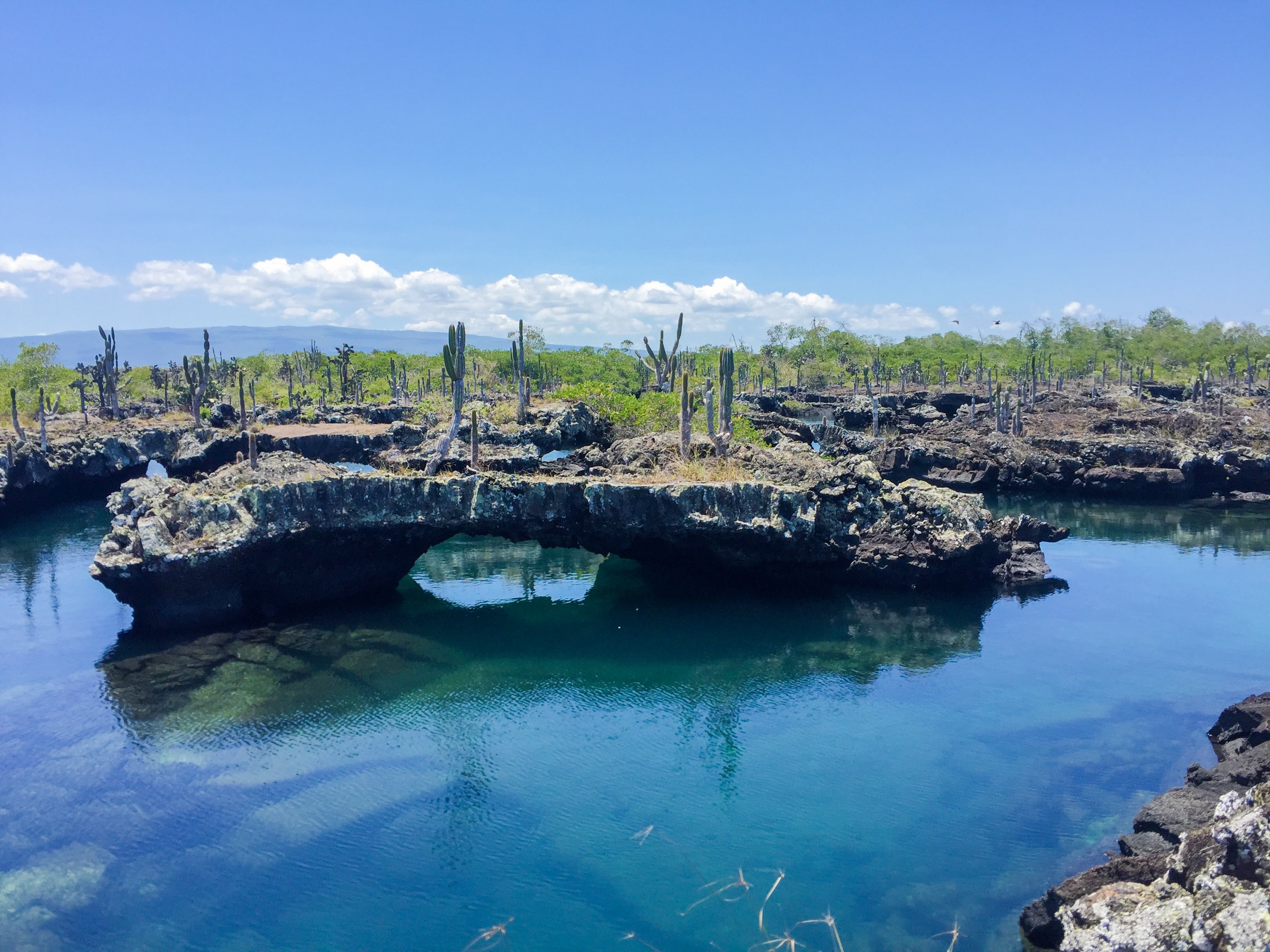 Galapagos Travel Tour 763