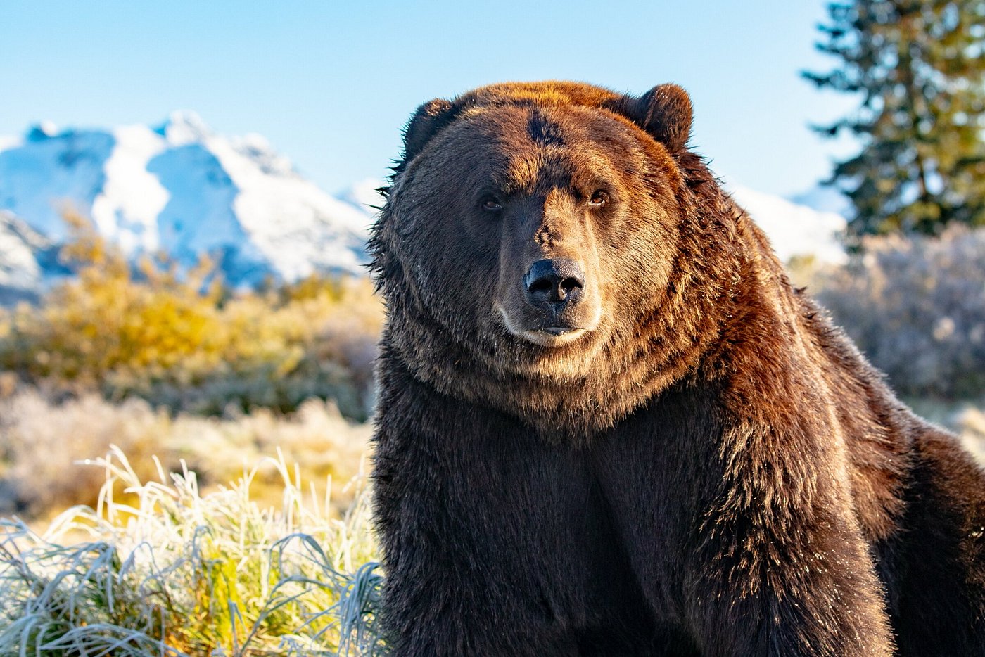 Optional Turnagain Arm Scenic Tour